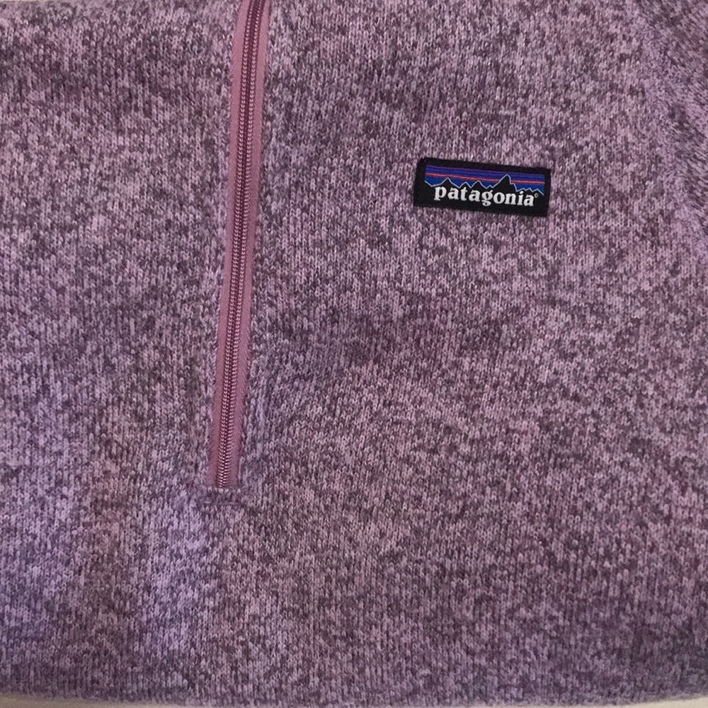 New/Never worm Patagonia Quarter Zip